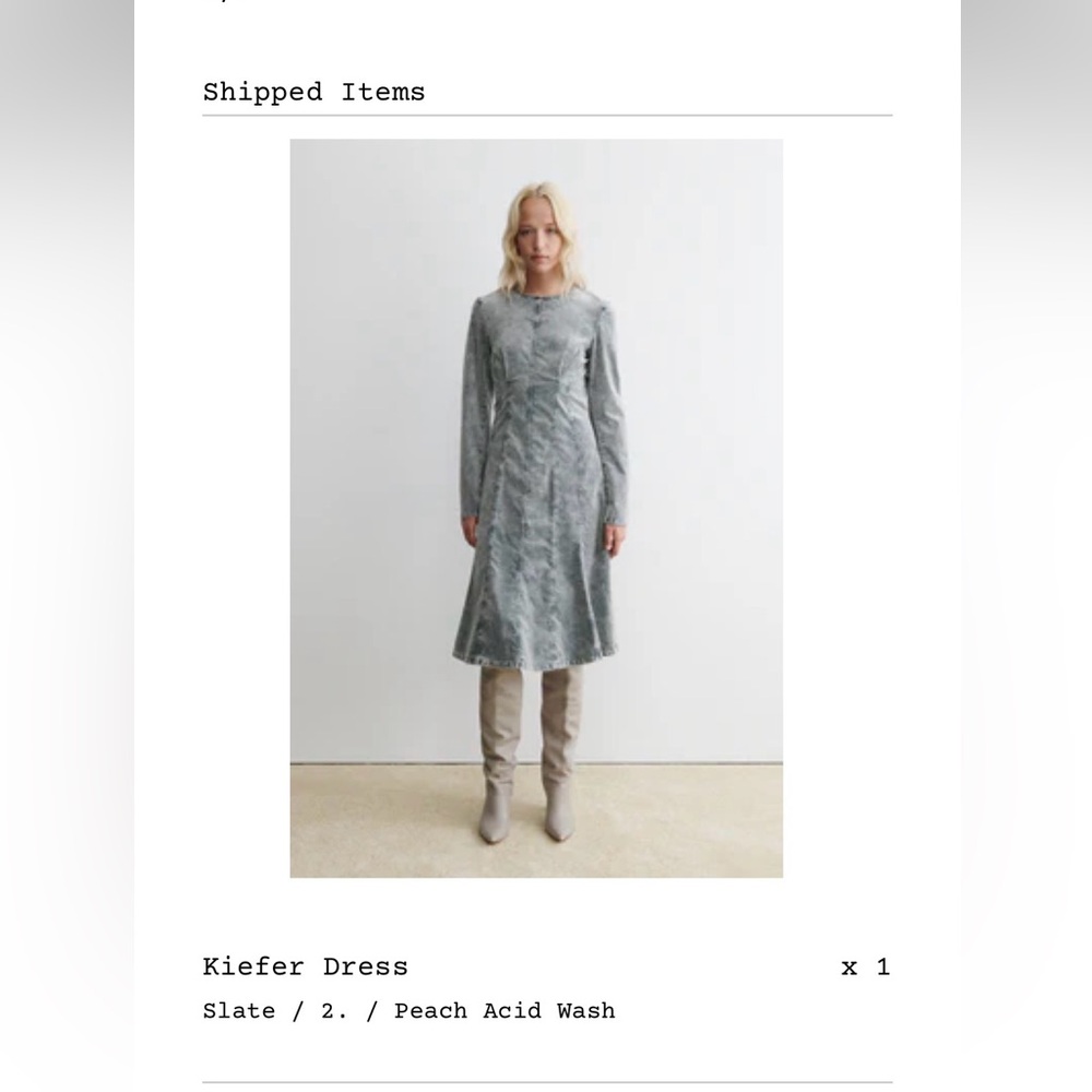 Rachel Comey Slate Long Sleeve Dress